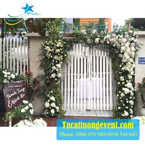 Tin tức 5